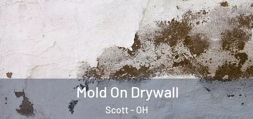  Mold On Drywall Scott - OH