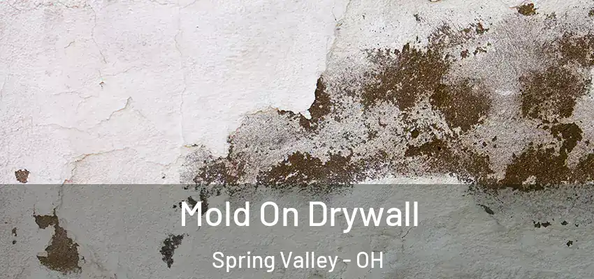  Mold On Drywall Spring Valley - OH