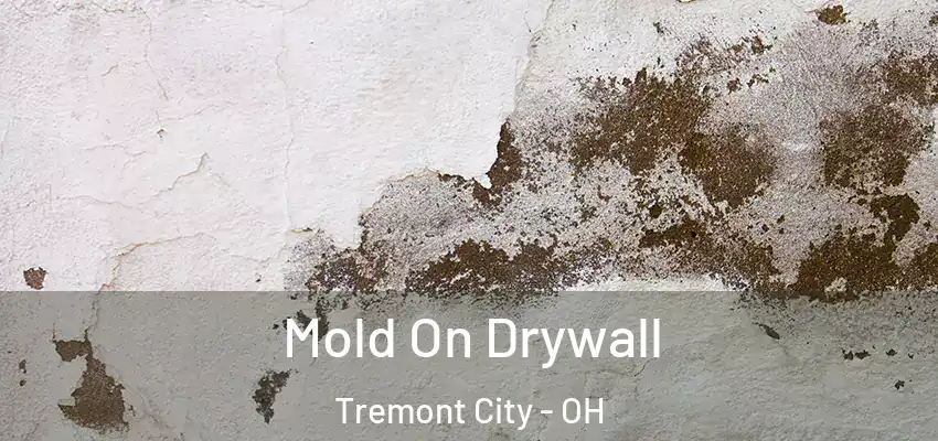  Mold On Drywall Tremont City - OH