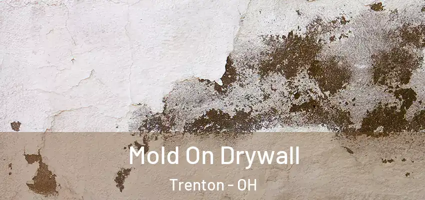 Mold On Drywall Trenton - OH
