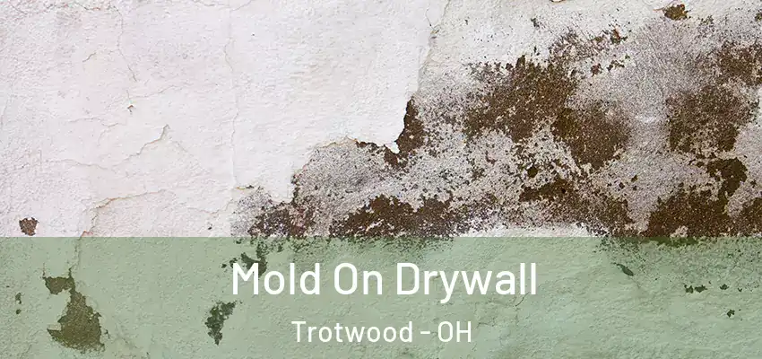  Mold On Drywall Trotwood - OH