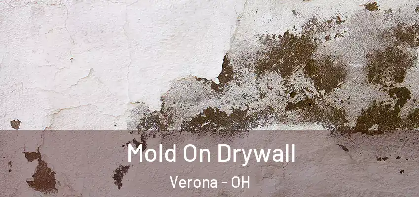  Mold On Drywall Verona - OH