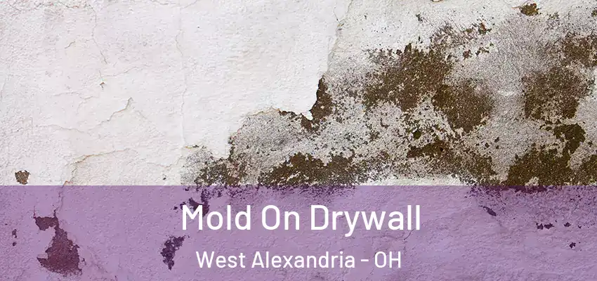  Mold On Drywall West Alexandria - OH