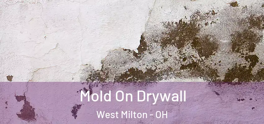  Mold On Drywall West Milton - OH