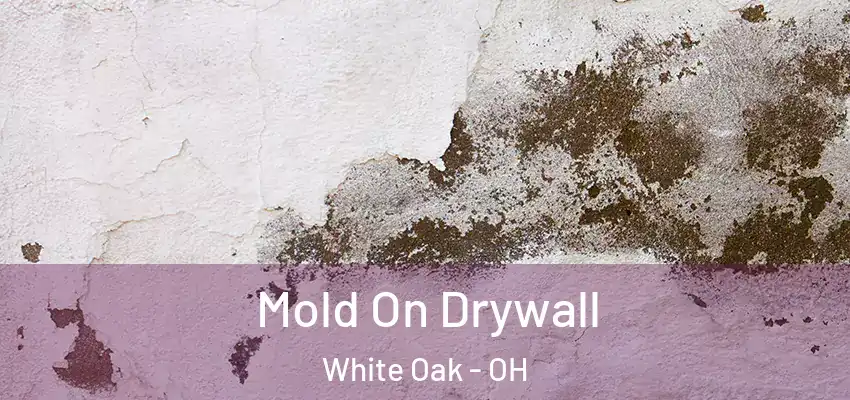  Mold On Drywall White Oak - OH