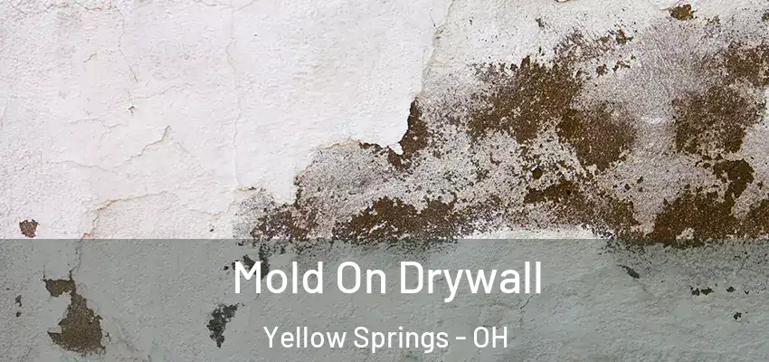  Mold On Drywall Yellow Springs - OH