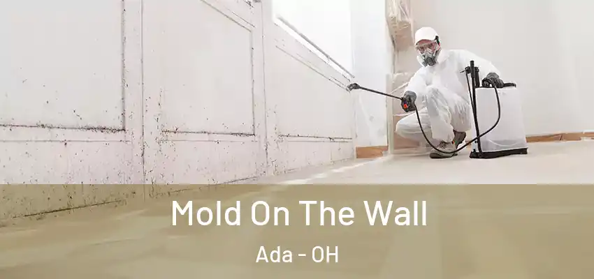  Mold On The Wall Ada - OH