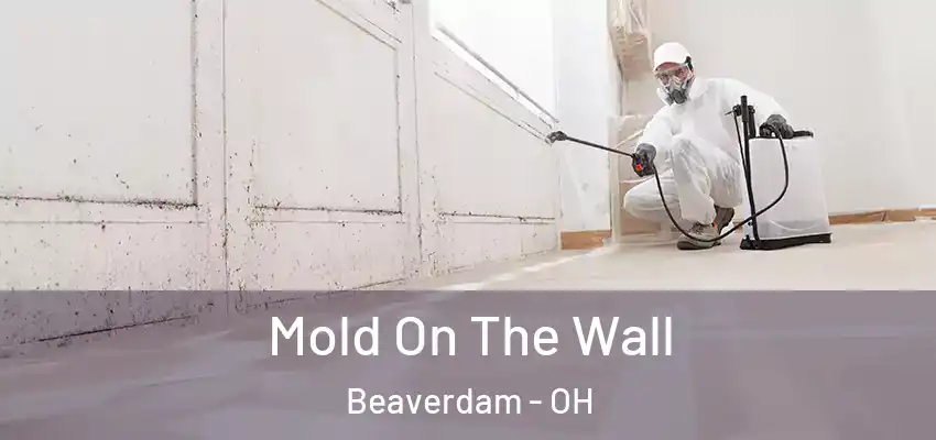  Mold On The Wall Beaverdam - OH