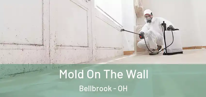 Mold On The Wall Bellbrook - OH