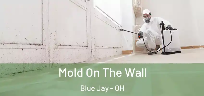  Mold On The Wall Blue Jay - OH