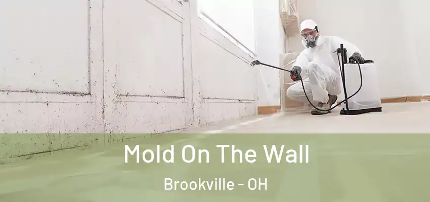 Mold On The Wall Brookville - OH