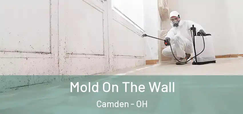 Mold On The Wall Camden - OH