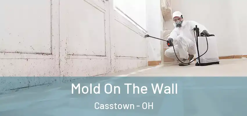  Mold On The Wall Casstown - OH