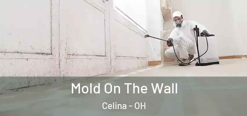  Mold On The Wall Celina - OH