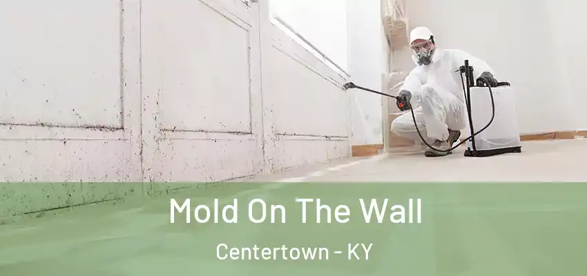  Mold On The Wall Centertown - KY