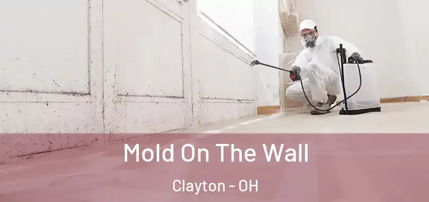 Mold On The Wall Clayton - OH