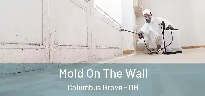 Mold On The Wall Columbus Grove - OH