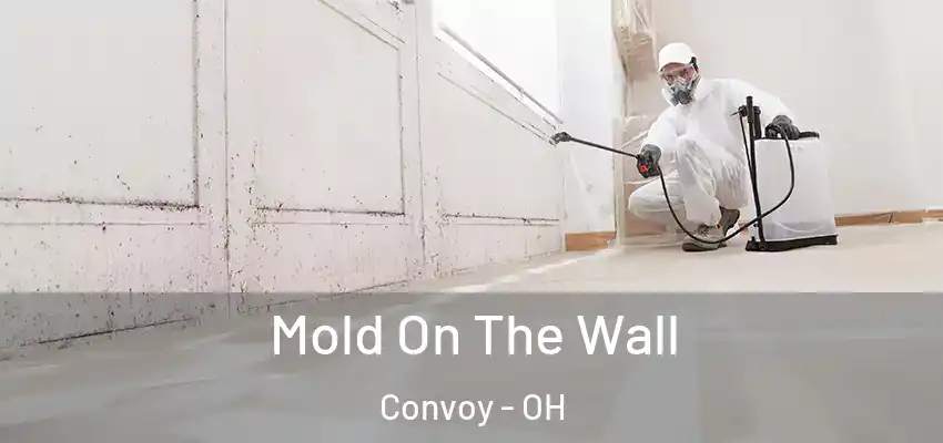  Mold On The Wall Convoy - OH