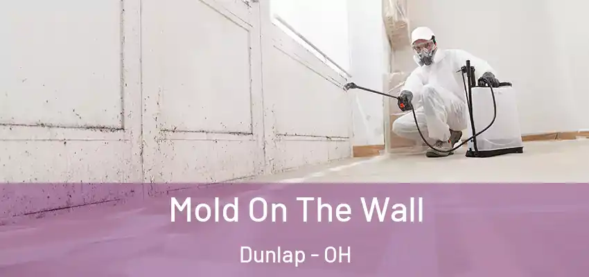  Mold On The Wall Dunlap - OH