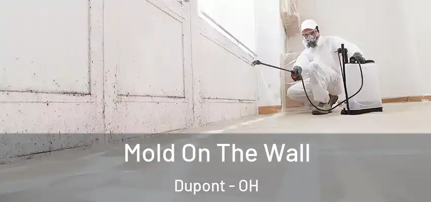  Mold On The Wall Dupont - OH
