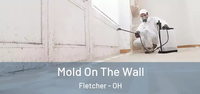 Mold On The Wall Fletcher - OH