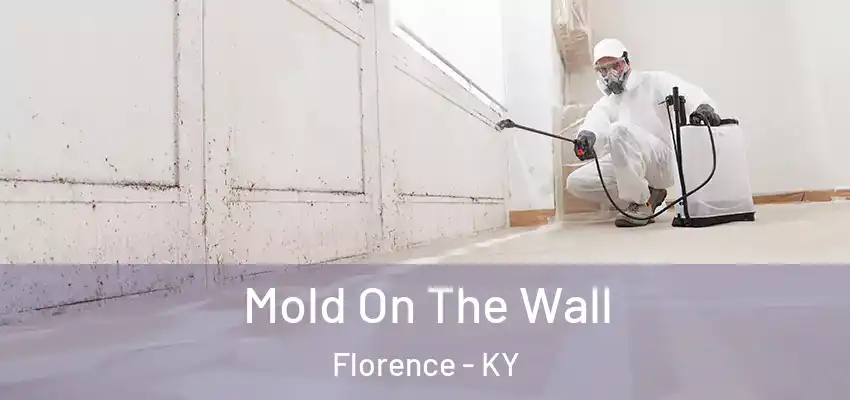  Mold On The Wall Florence - KY