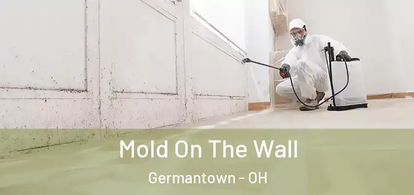  Mold On The Wall Germantown - OH