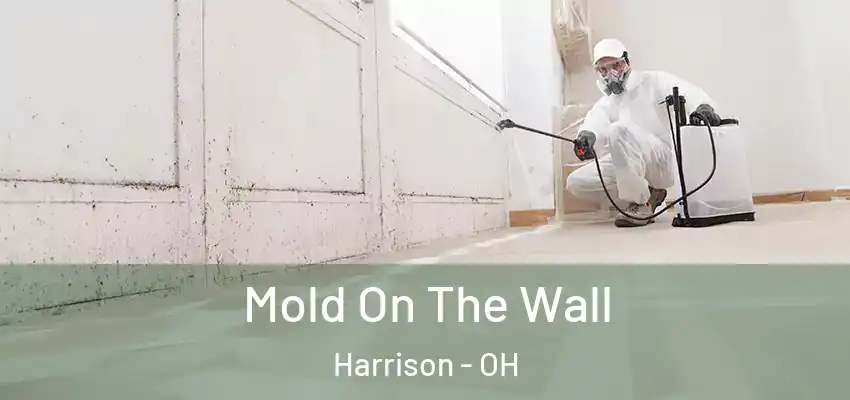  Mold On The Wall Harrison - OH