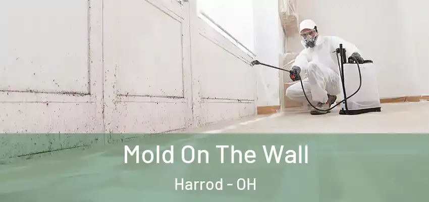 Mold On The Wall Harrod - OH