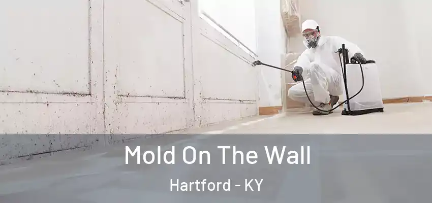  Mold On The Wall Hartford - KY