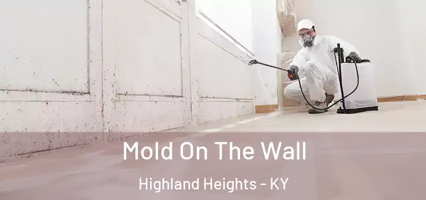  Mold On The Wall Highland Heights - KY