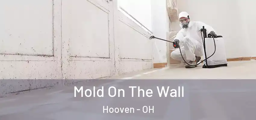  Mold On The Wall Hooven - OH