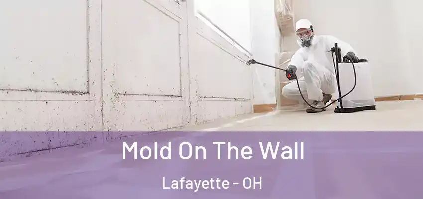 Mold On The Wall Lafayette - OH