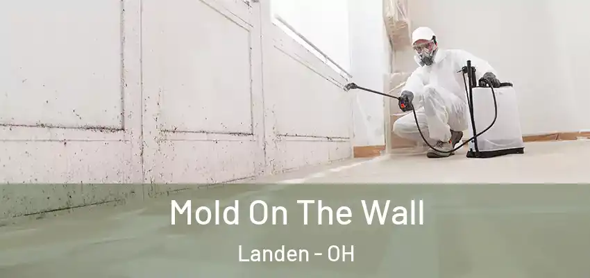 Mold On The Wall Landen - OH