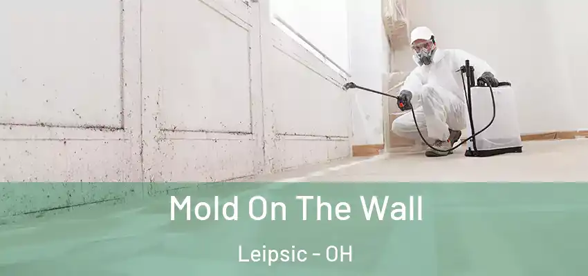  Mold On The Wall Leipsic - OH