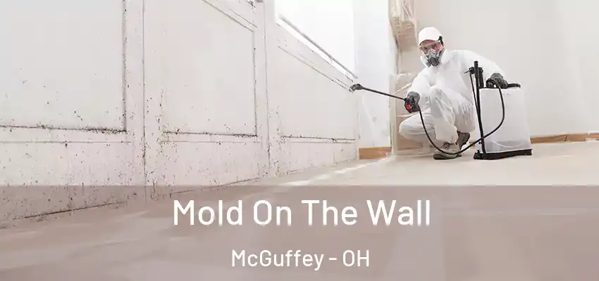  Mold On The Wall McGuffey - OH