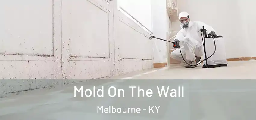  Mold On The Wall Melbourne - KY