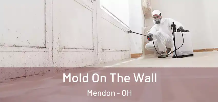  Mold On The Wall Mendon - OH