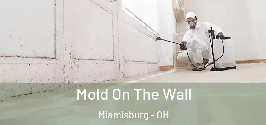 Mold On The Wall Miamisburg - OH