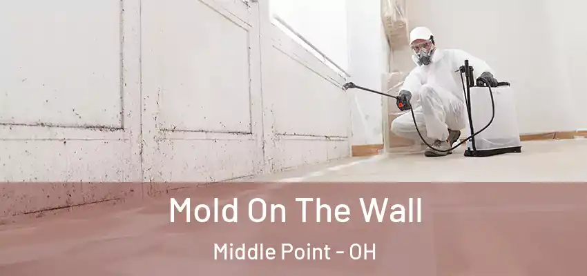  Mold On The Wall Middle Point - OH