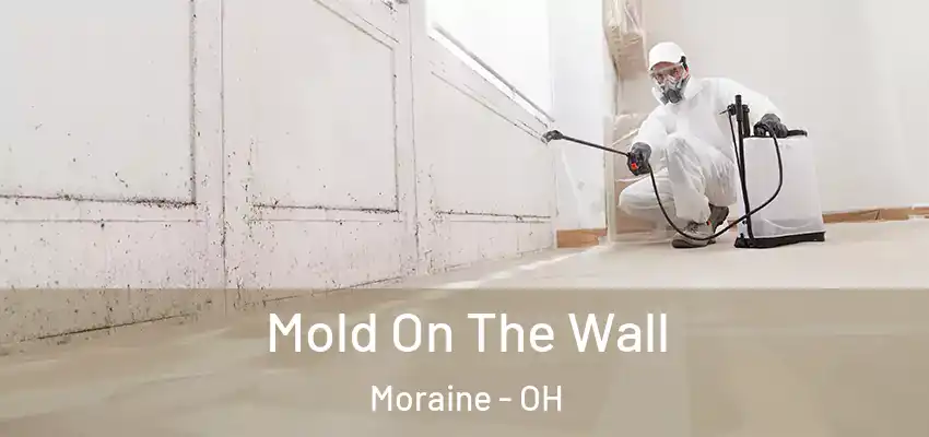 Mold On The Wall Moraine - OH