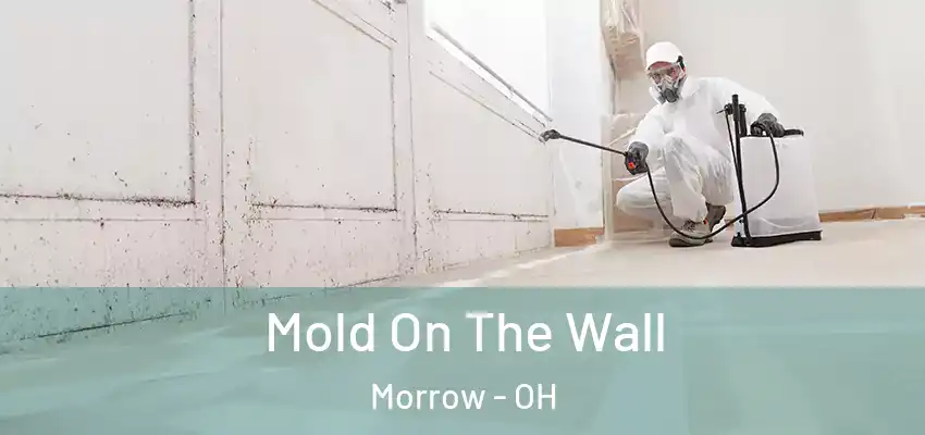  Mold On The Wall Morrow - OH