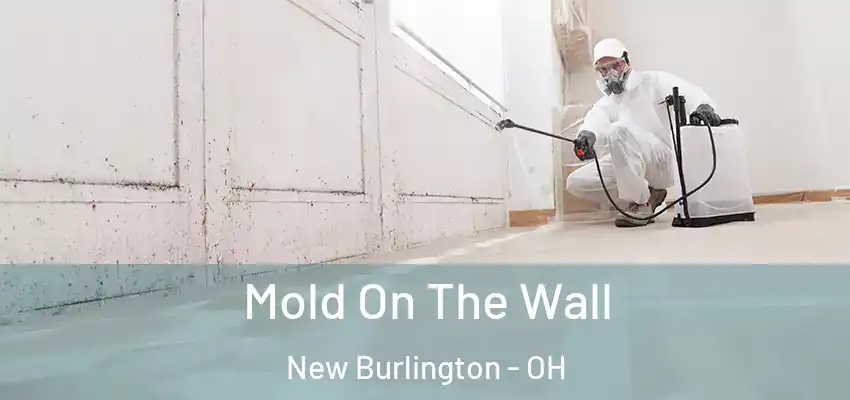  Mold On The Wall New Burlington - OH