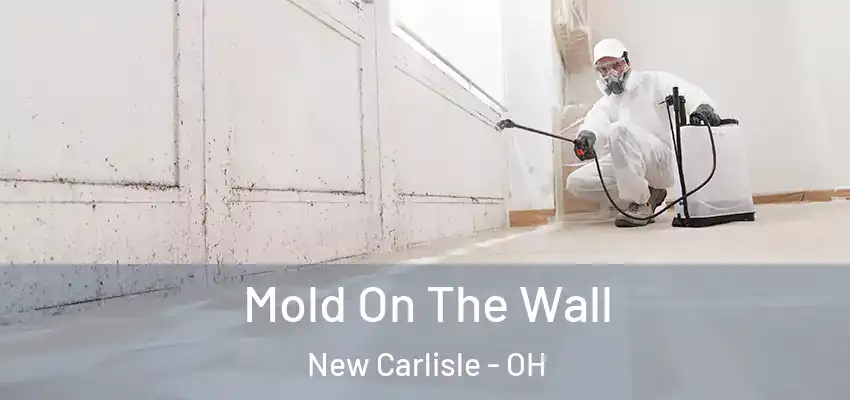  Mold On The Wall New Carlisle - OH