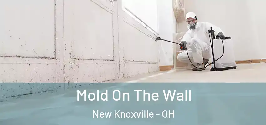  Mold On The Wall New Knoxville - OH