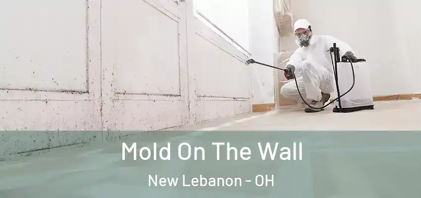 Mold On The Wall New Lebanon - OH