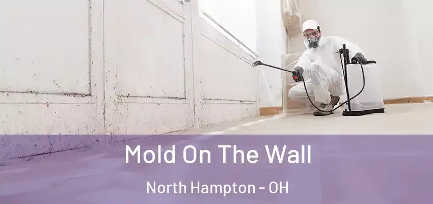  Mold On The Wall North Hampton - OH