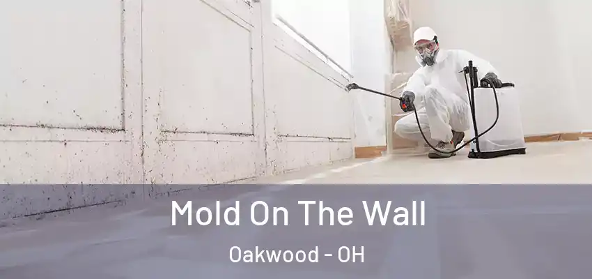  Mold On The Wall Oakwood - OH