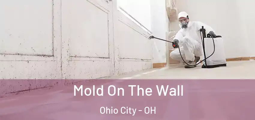  Mold On The Wall Ohio City - OH