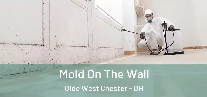 Mold On The Wall Olde West Chester - OH
